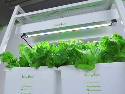 植物栽培用ＬＥＤ６００ｓ.jpg