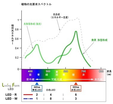 植物の光合成スペクトルs.jpg