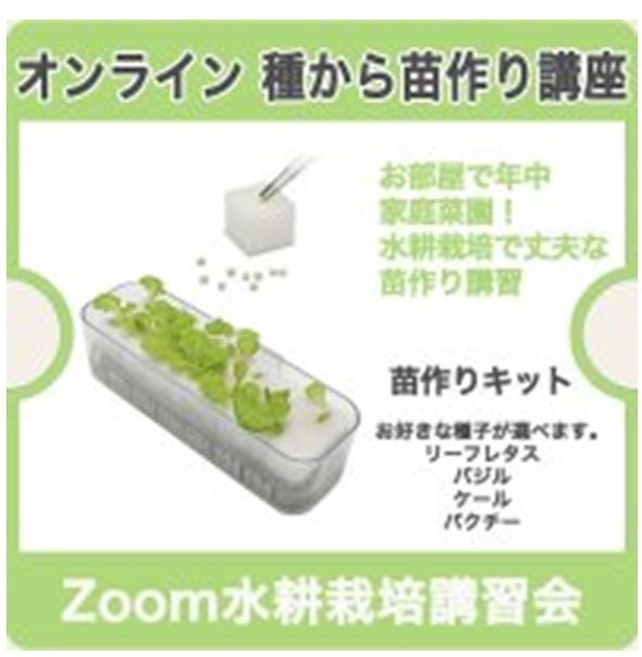 ZOOMによる水耕栽培講習会　苗作り.jpg