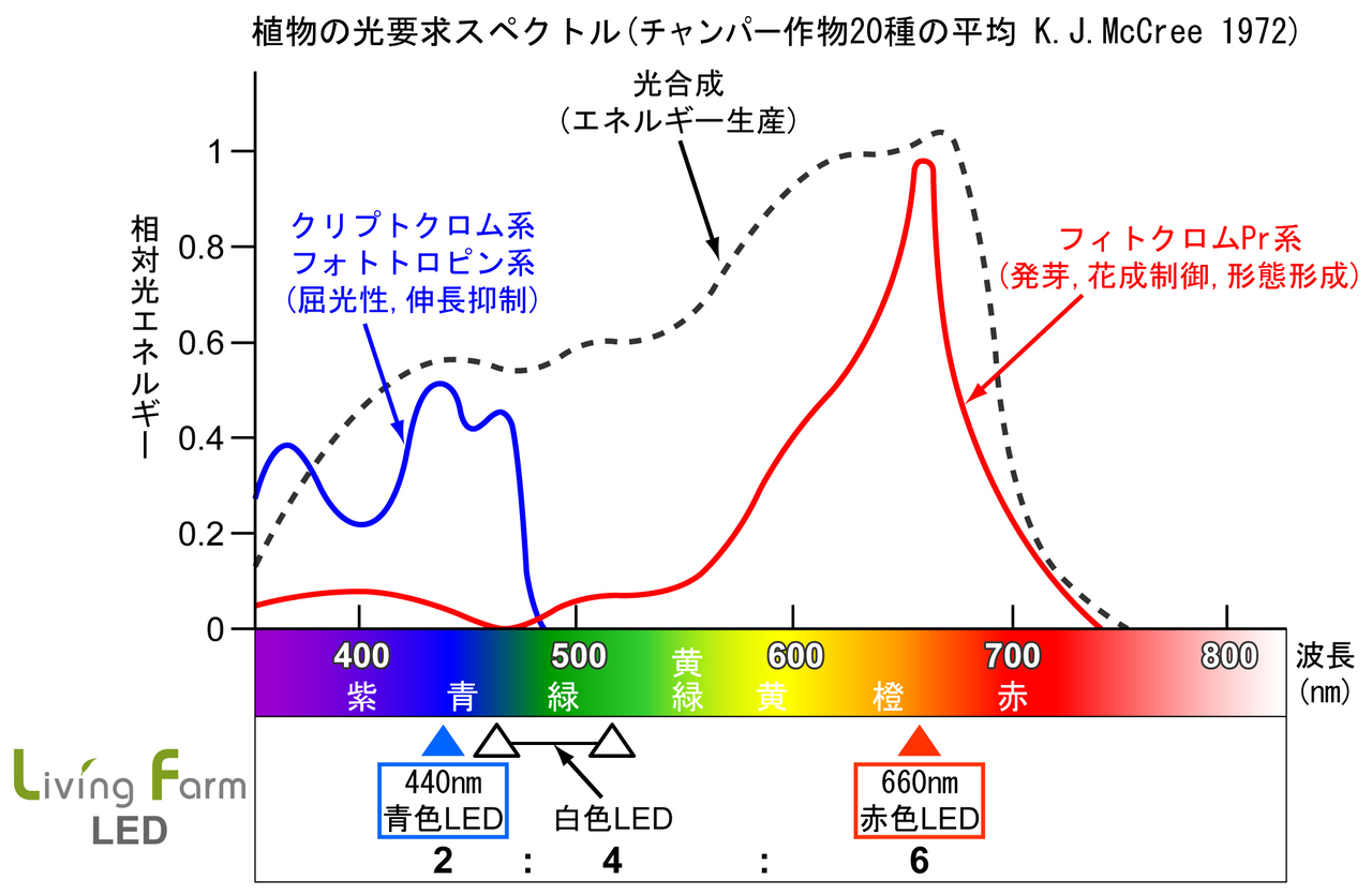 ledtest.jpg