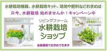 ZOOM相談室１.jpg