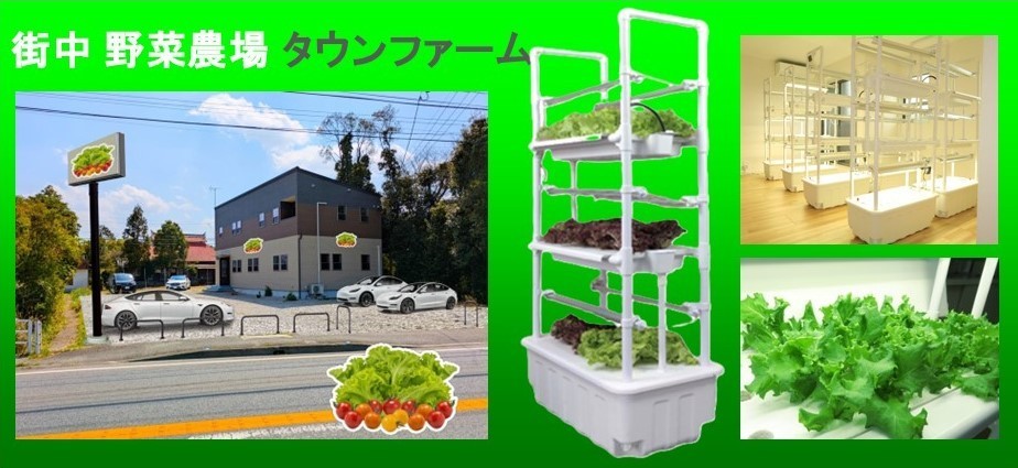街中野菜農場ー10s.jpg