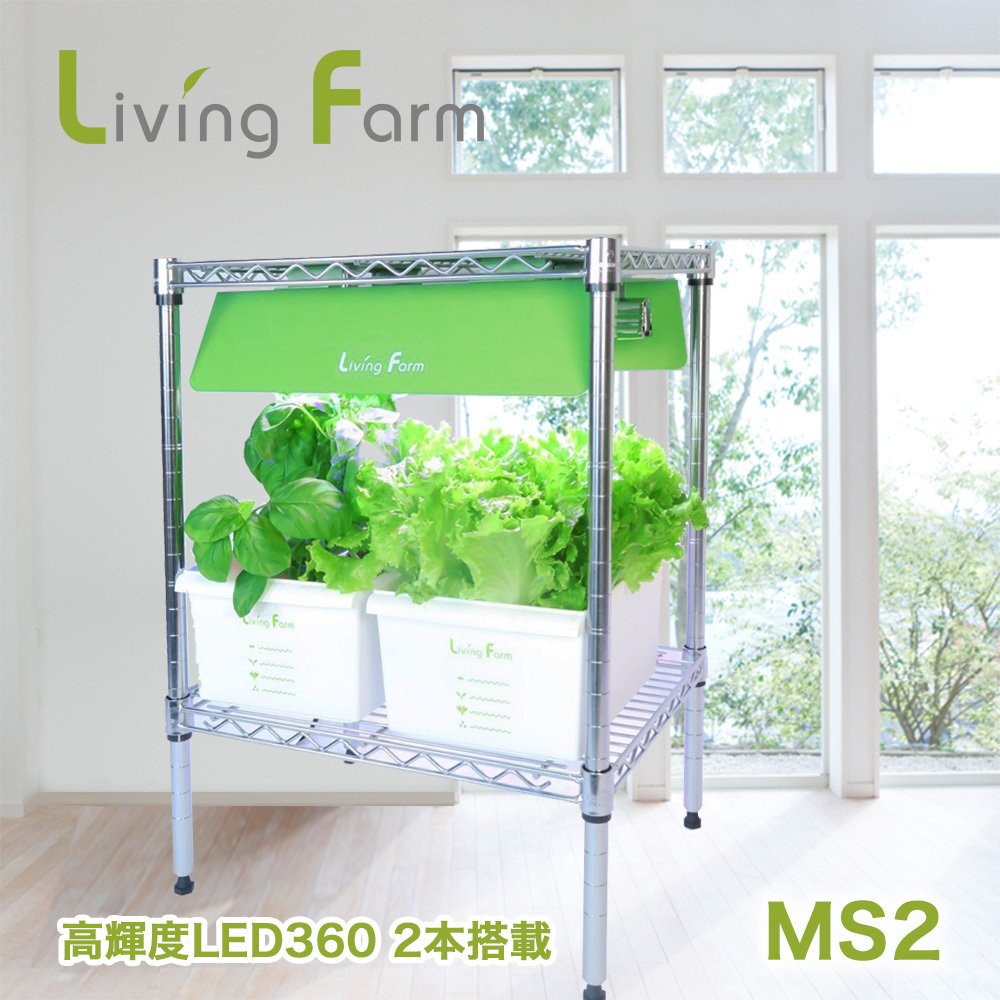 水耕栽培器MS２