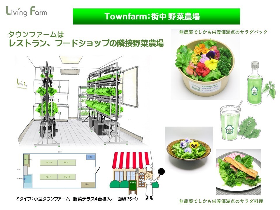 タウンファームはレストラン、ショップ.jpg