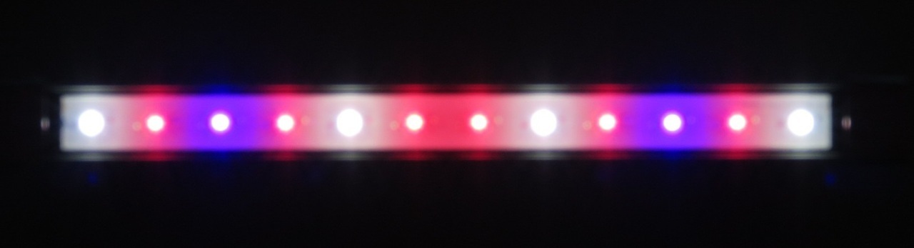 LED360R赤・青系.JPG