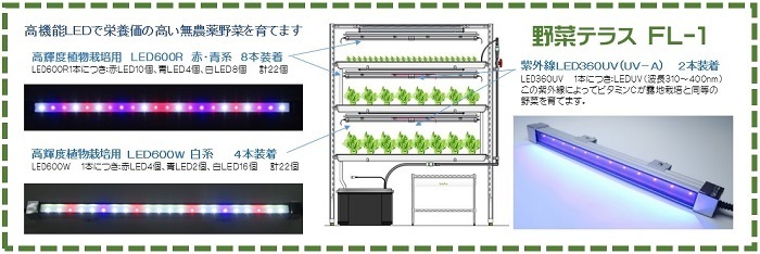 １野菜テラスＬＥＤsjpg.jpg
