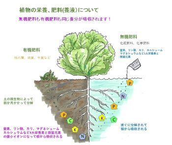 無機肥料、有機肥料s1.jpg