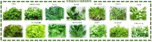 無農薬野菜ー１s.jpg