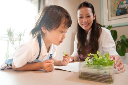 子供とお母さん水耕栽培キットｓ.jpg