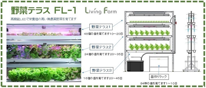 小型植物工場野菜テラス-3s.jpg