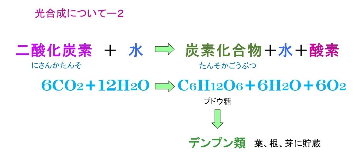 光合成の式12.jpg