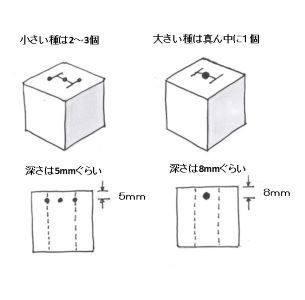 水耕栽培4-4-05.jpg