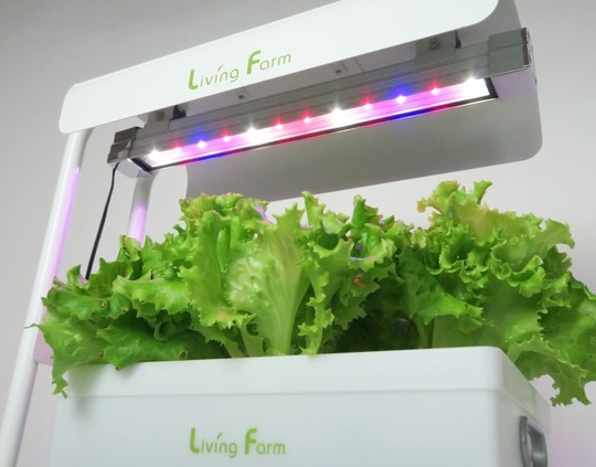 植物栽培に最適な赤色LEDと青色LED