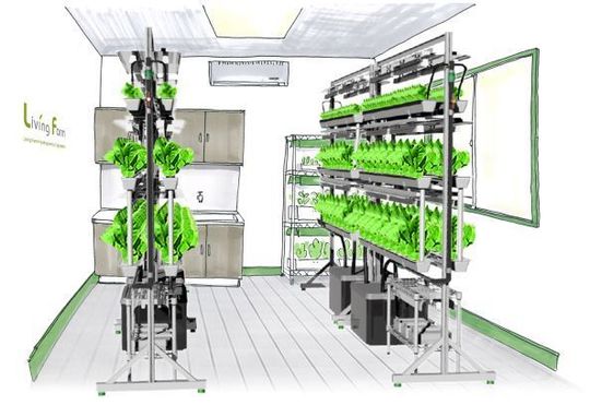 無農薬野菜を作る水耕栽培と植物工場の早わかり