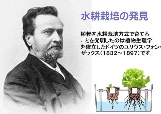 水耕栽培　ザックス.jpg